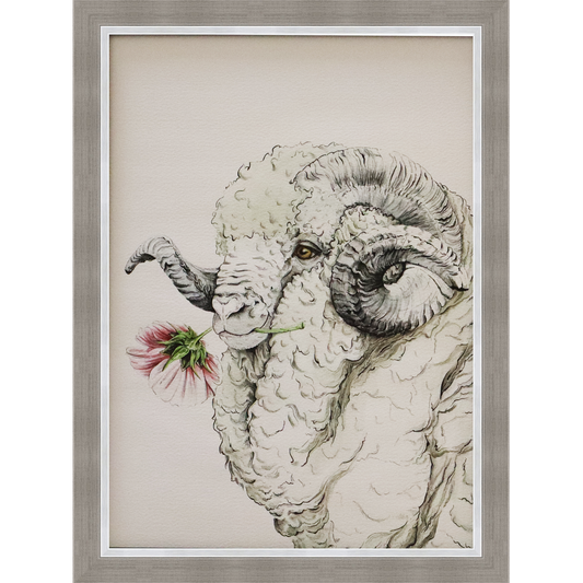 Flower Sheep