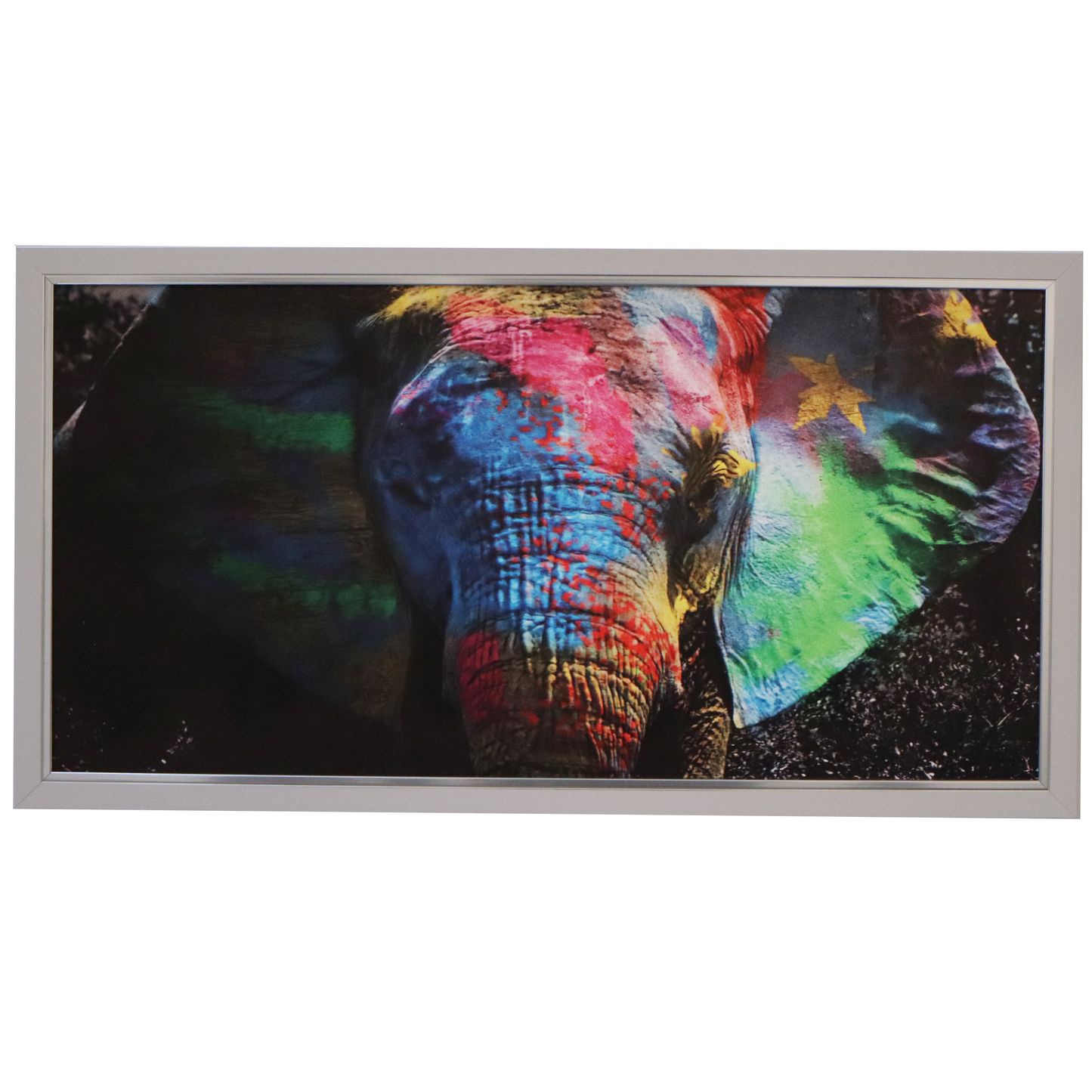 Painted Elephant