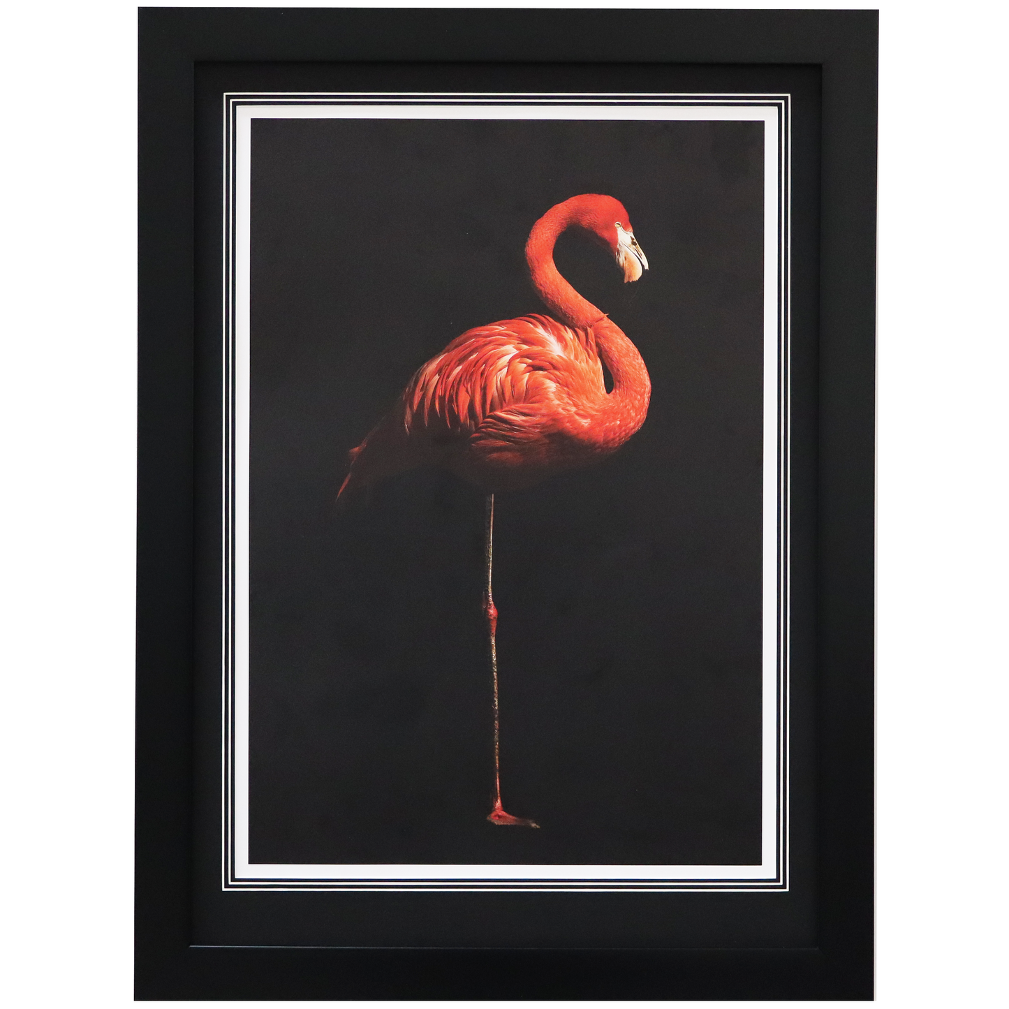 Flamingo I