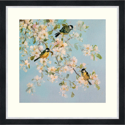 Song Birds And Apple Blossom