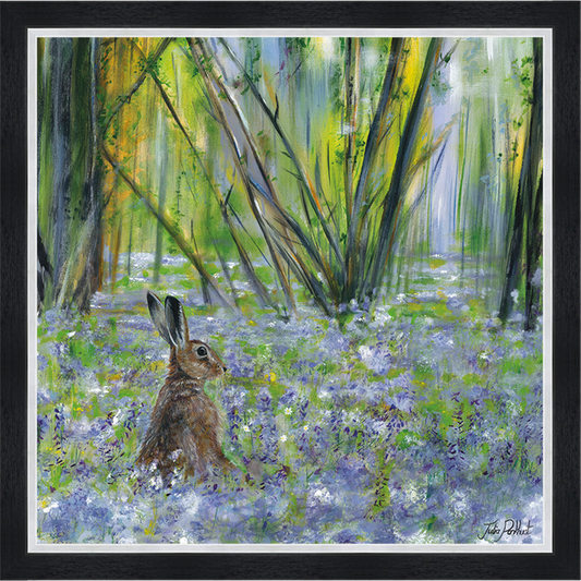 Spring Hare